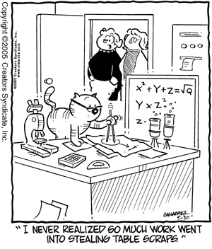 heathcliff